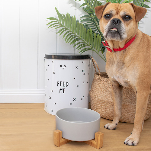 Kmart best sale pet bowls